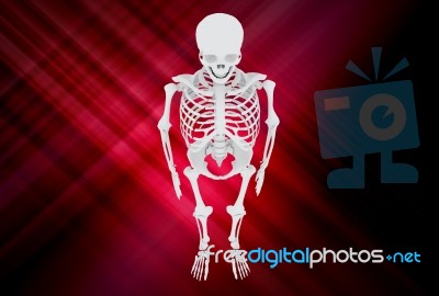 3d Illustration Of  Human Skulls Stock Photo Stock Image