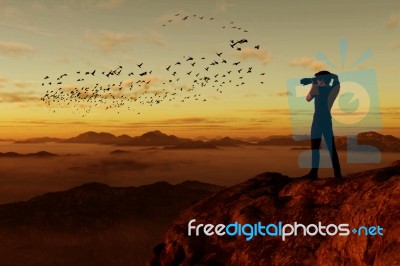 3d Illustration Of Silhouette Photographer Taking A Picture Of Birds Stock Image