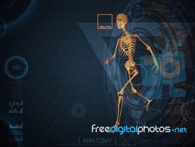 3d Illustration Of  Walking Fire Skeleton By X-rays On Backgroun… Stock Image