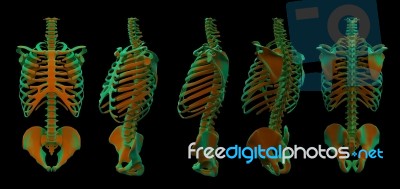 3d Illustration Of  Walking Fire Skeleton By X-rays On Backgroun… Stock Image
