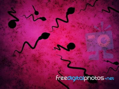 3d Illustration Sperm Approaching Egg Cell Stock Image