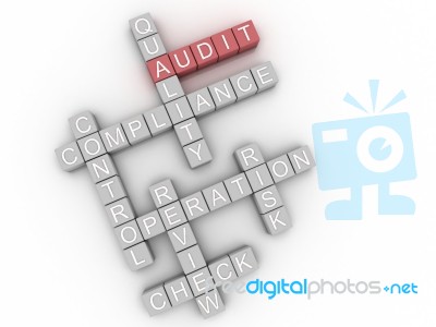3d Image Audit Issues Concept Word Cloud Background Stock Image