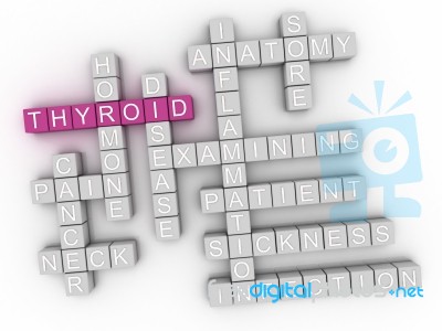 3d Image Thyroid Word Cloud Concept Stock Image