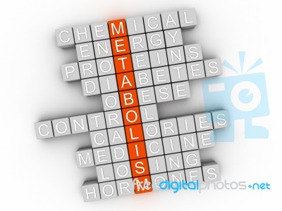 3d Metabolism Word Cloud Concept - Illustration Stock Image