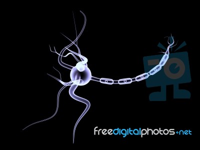 3d Neuron Cell Stock Image