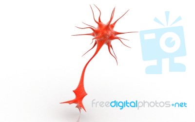 3d Neuron Cell Stock Image