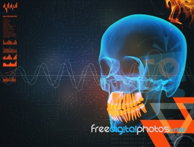 3d Render Human X Ray Skull On Black Background Stock Image