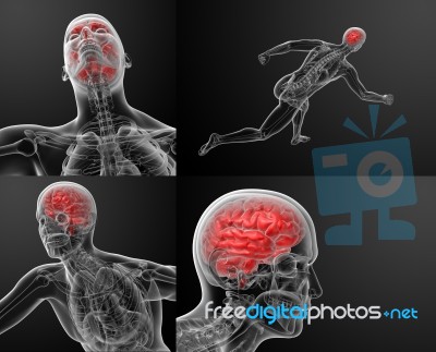 3d Render Illustration Of Human Brain X Ray Stock Image