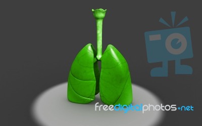 3d Rendered Lungs Stock Image 3d Rendered Lungs Stock Image