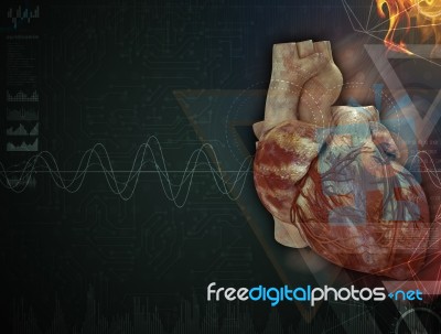 3d Rendered Medical Illustration Of A Human Heart Stock Image