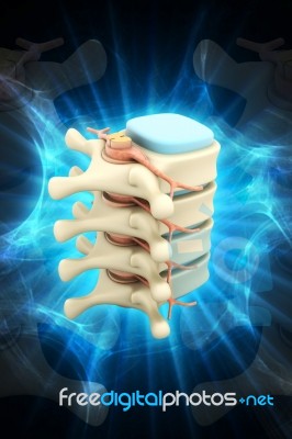 3d Rendered Of Illustration - Human Spine Stock Image