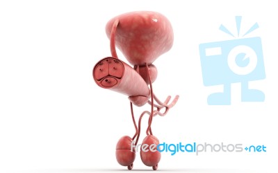 3d Rendered Penis Stock Image