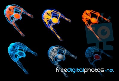 3d Rendered Red Skeleton Of A Sitting Stock Image 3d Rendered Red Skeleton Of A Sitting Stock Image