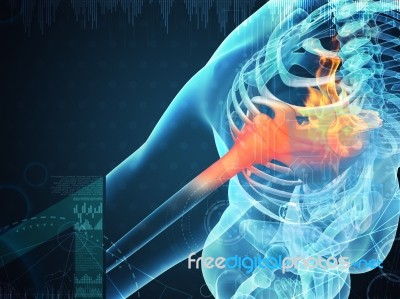 3d Rendering Human Shoulder Pain With The Anatomy Of A Skeleton Stock Image