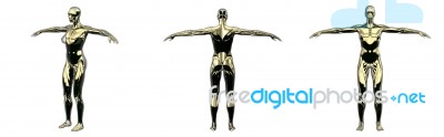 3d Rendering Illustration Of Gold Human Stock Image