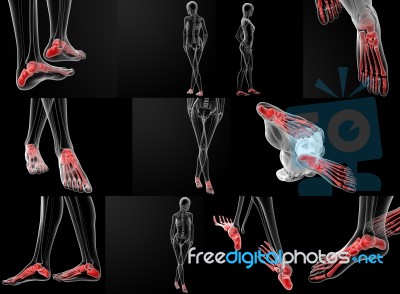 3d Rendering Illustration Of The Foot Bone Stock Image