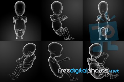 3d Rendering Illustration Of The Human Fetus Stock Image