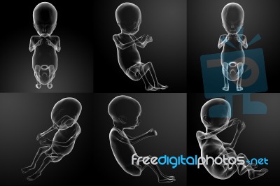 3d Rendering Illustration Of The Human Fetus Stock Image