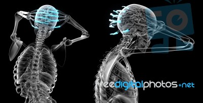 3d Rendering Illustration Of The Human Phalanges Hand Stock Image