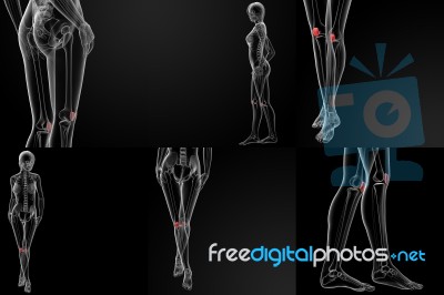 3d Rendering Illustration Of The  Patella Bone Stock Image