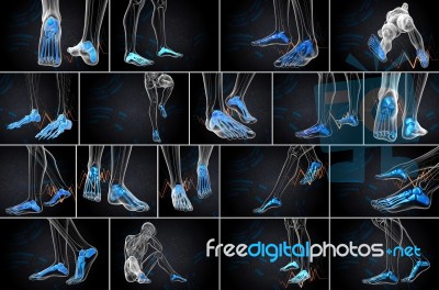 3d Rendering Medical Illustration Of The Foot Bone Stock Image