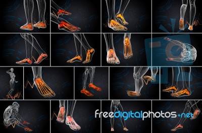 3d Rendering  Medical Illustration Of The Foot Bone Stock Image