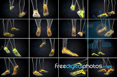 3d Rendering Medical Illustration Of The Foot Bone Stock Image