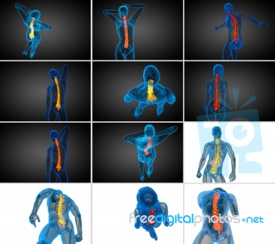 3d Rendering  Medical Illustration Of The Human Spine Stock Image
