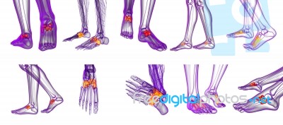 3d Rendering Medical Illustration Of The Midfoot Bone Stock Image