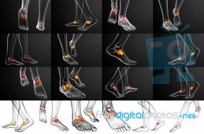 3d Rendering Medical Illustration Of The Midfoot Bone Stock Image