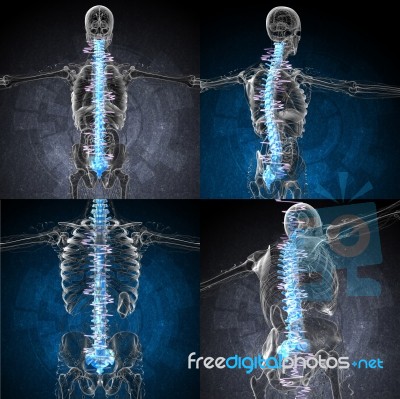3d Rendering Medical Illustration Of The Painful Back Stock Image
