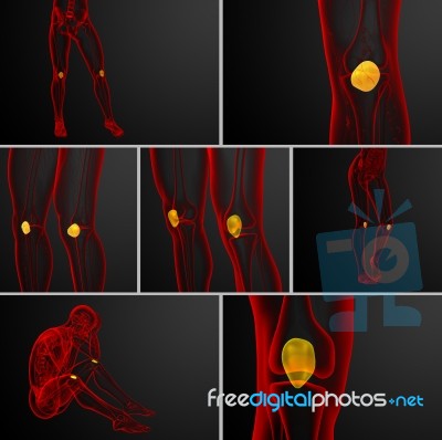 3d Rendering Medical Illustration Of The Patella Bone Stock Image