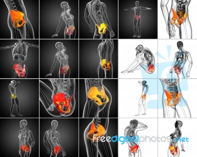 3d Rendering  Medical Illustration Of The Pelvis Bone Stock Image