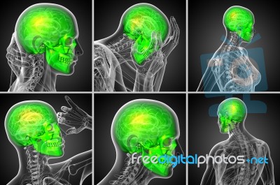 3d Rendering  Medical Illustration Of The Skull Stock Image