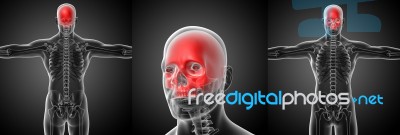 3d Rendering Medical Illustration Of The Upper Skull Stock Image