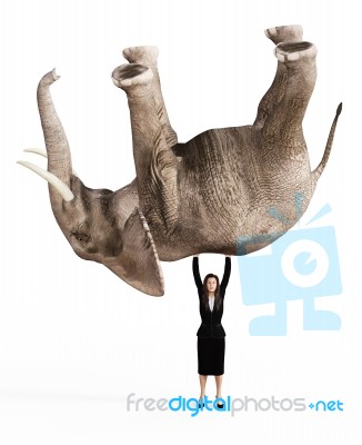 3d Rendering Of A Tired Businesswoman Lifting Up An Elephant Stock Image