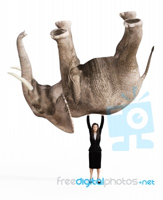 3d Rendering Of A Tired Businesswoman Lifting Up An Elephant Stock Image