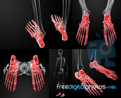 3d Rendering Of Human Foot X - Ray Stock Image