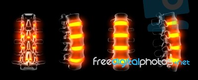 3d Rendering Of Spine Structure On Black Background Stock Image