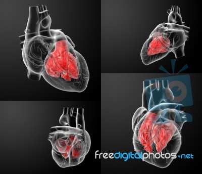 3d Rendering Of The Heart Atrium Stock Image