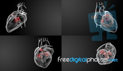 3d Rendering Of The Heart Valve Stock Image