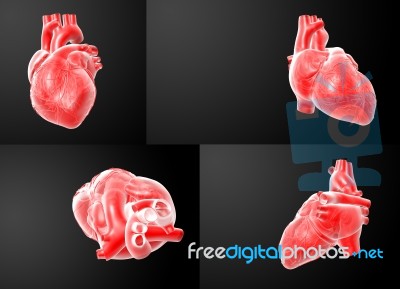 3d Rendering Of The  Red Heart Stock Image