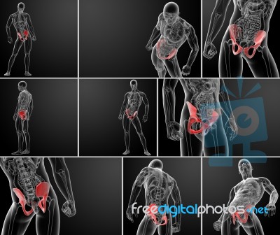 3d Rendering Pelvis Under The X-rays Stock Image
