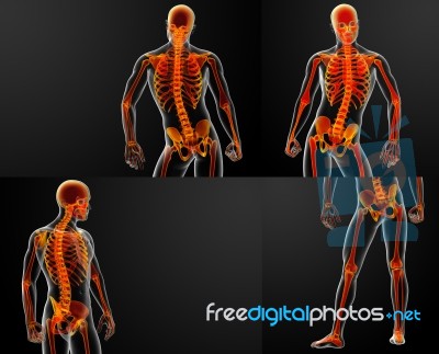3d Rendering Red Of Skeleton Stock Image