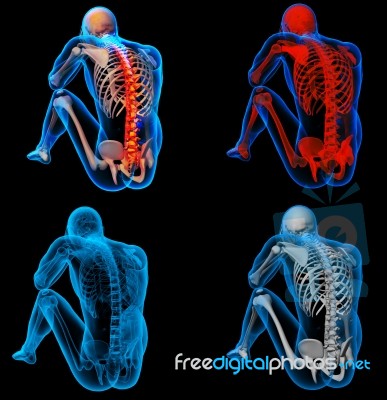 3d Rendering Skeleton Of The Man With The Backbone Stock Image