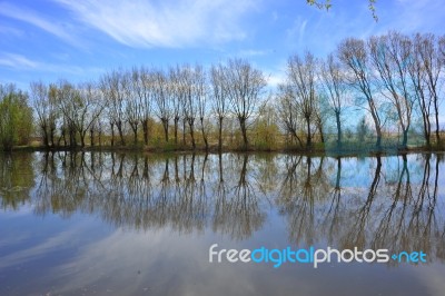 A Beatiful Landscape With Reflection And Blue Sky Stock Photo