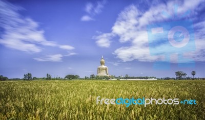 A Biggest Buddha In Thailand Stock Photo