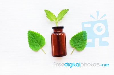 A Bottle Of Melissa Lemon Balm Essential Oil Stock Photo