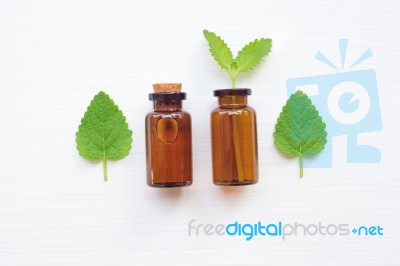 A Bottle Of Melissa Lemon Balm Essential Oil With Fresh  Leaves Stock Photo