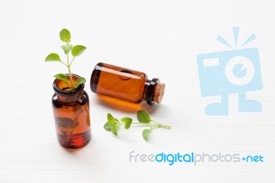 A Bottle Of Oregano Essential Oil With Fresh Oregano Leaves On W… Stock Photo